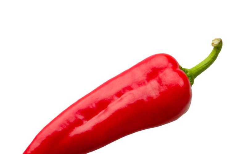 Flavor Foundation Image