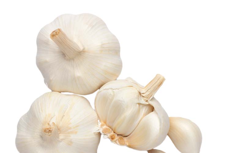 Flavor Foundation Image
