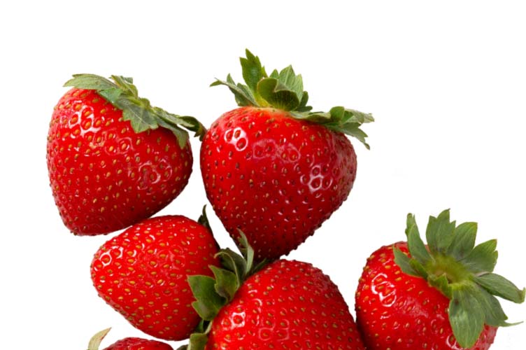 Flavor Foundation Image