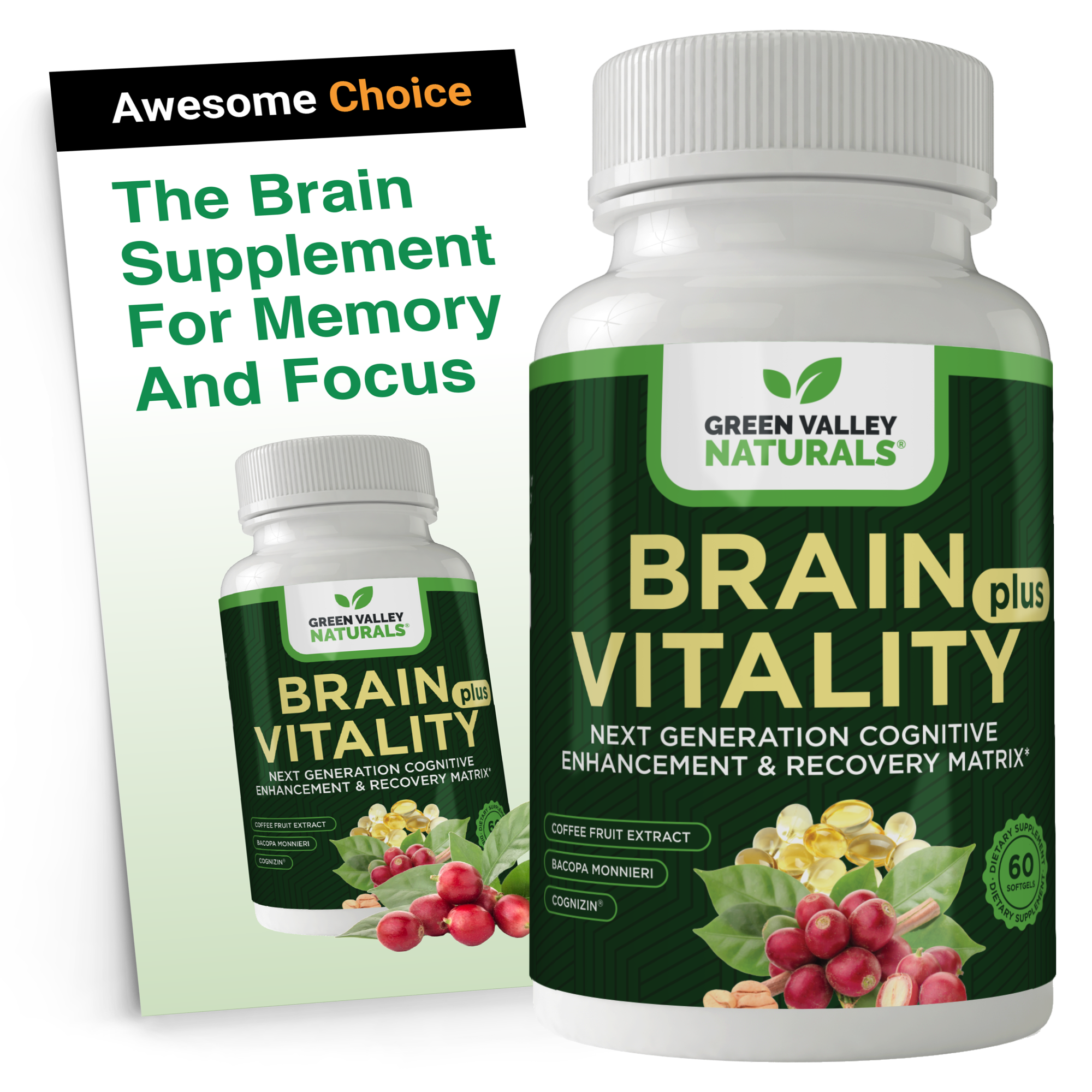 Brain Vitality Plus