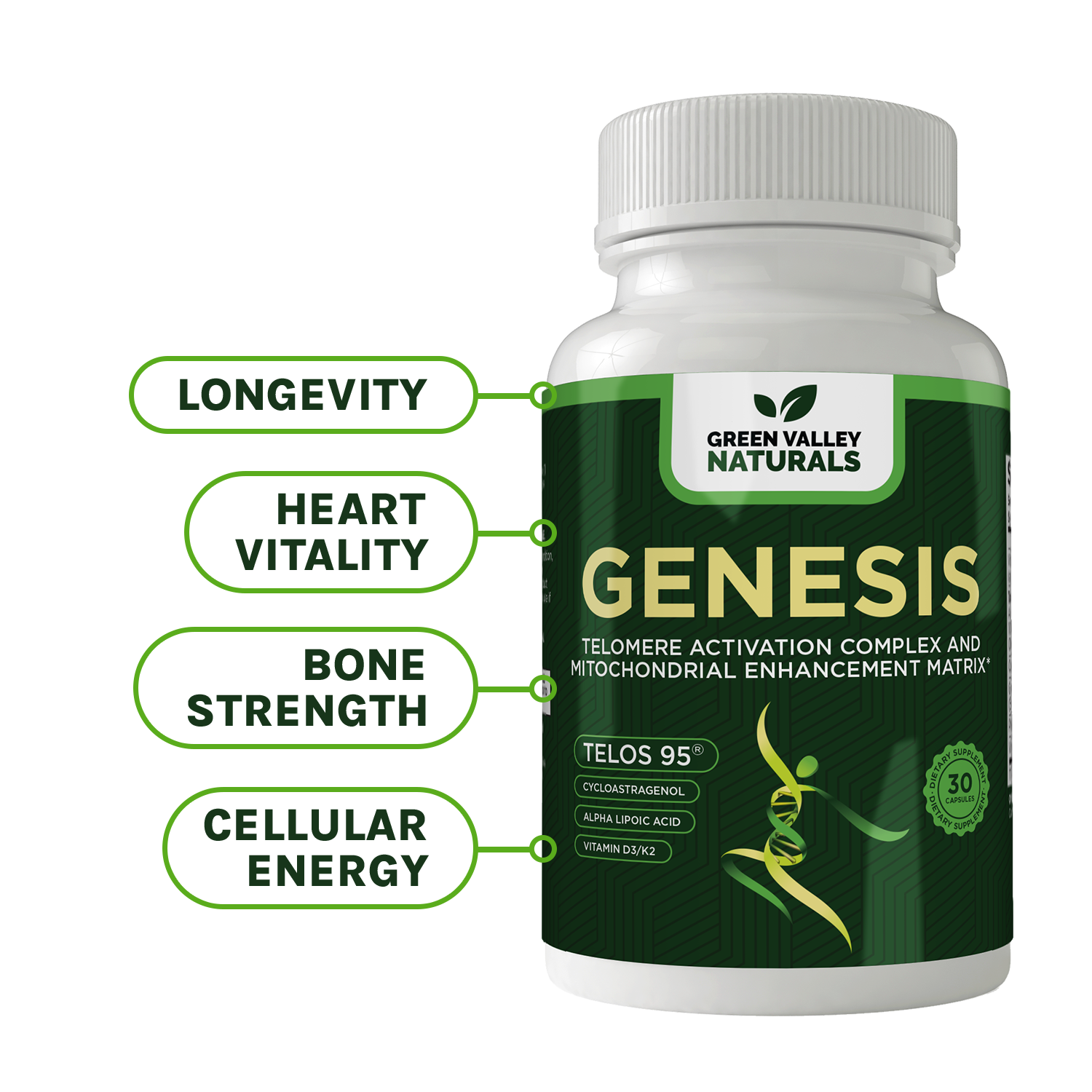 Genesis