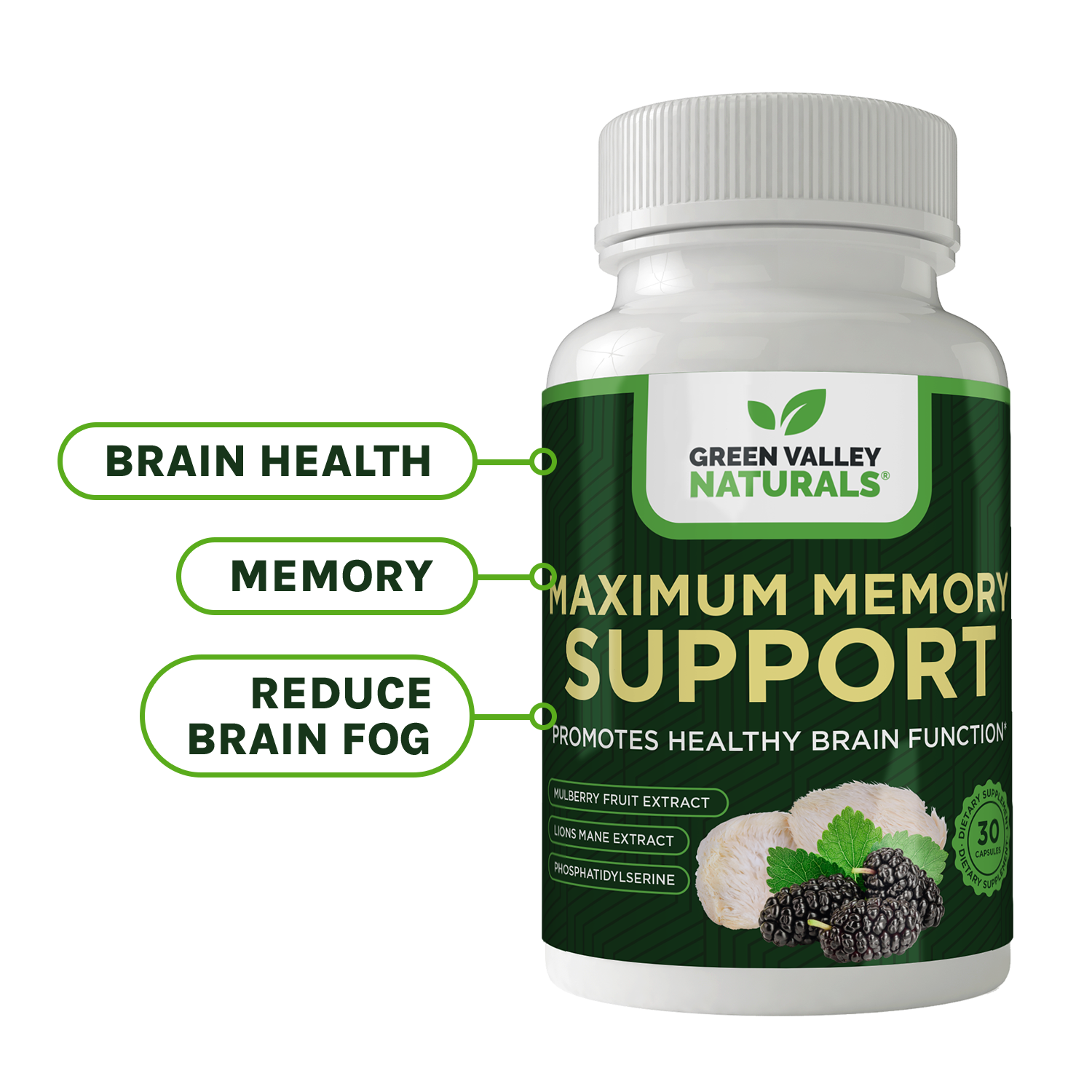 Maximum Memory Support