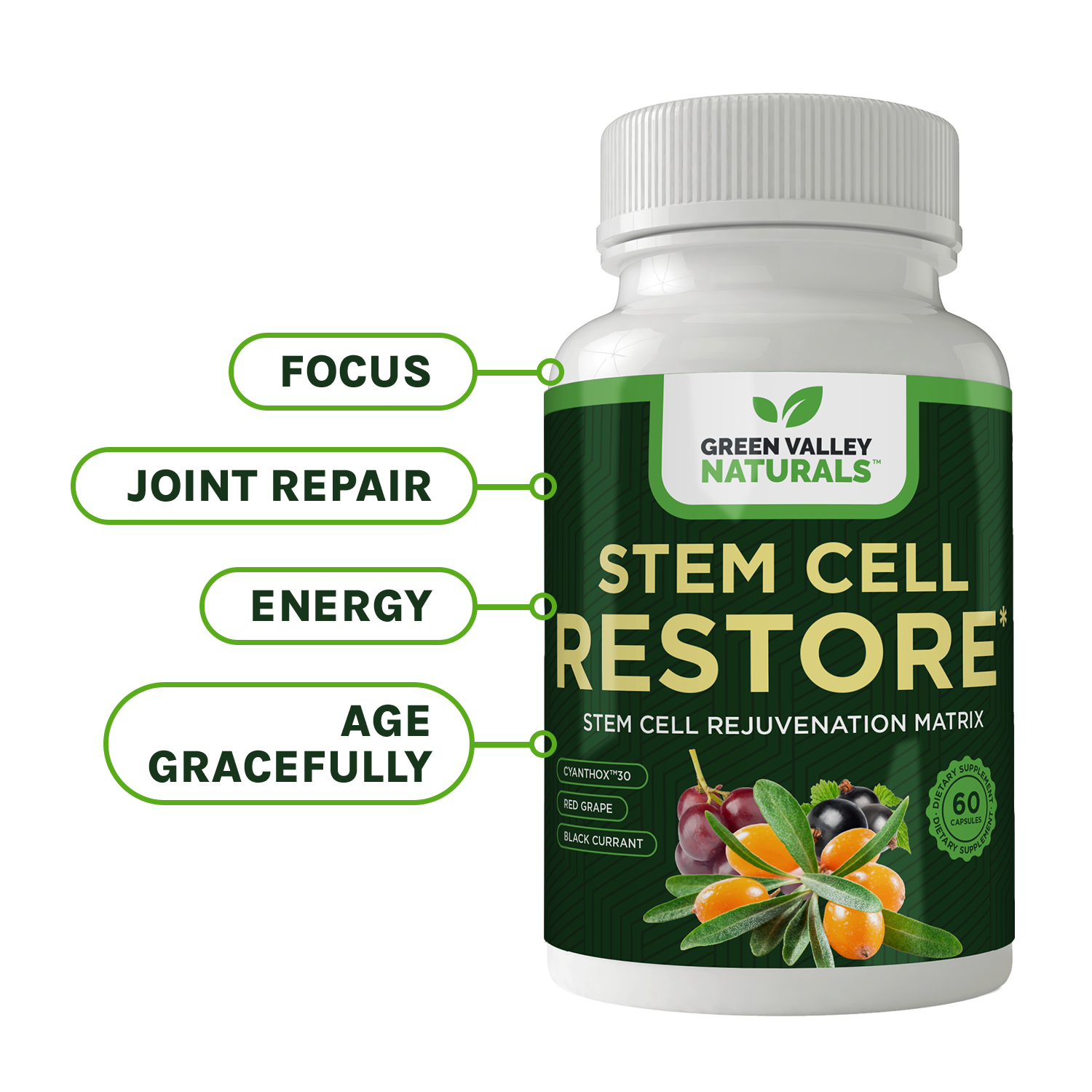 Stem Cell Restore